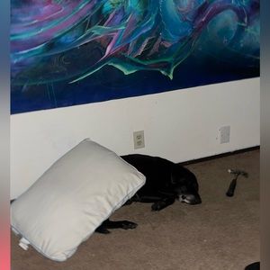 Bundle for @hann.mck